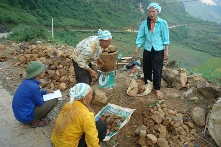 Siết quản lý khoáng sản ở hàng loạt tỉnh (trích báo VietNamNet)